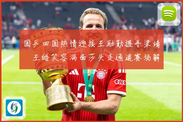 国乒回国热情迎接王励勤握手梁靖崑王皓笑容满面莎头走通道赛场解读：最新赛事动态与深度分析