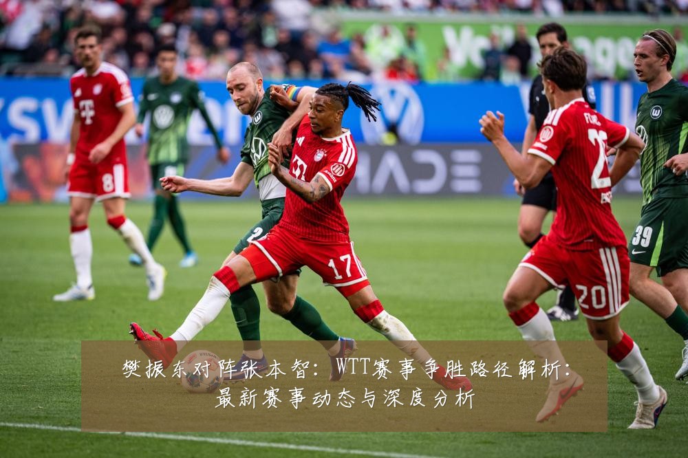 樊振东对阵张本智:WTT赛事争胜路径解析:最新赛事动态与深度分析